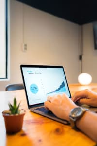 franchisee-asslciation-roles Person working on laptop displaying an increase of monthly traction